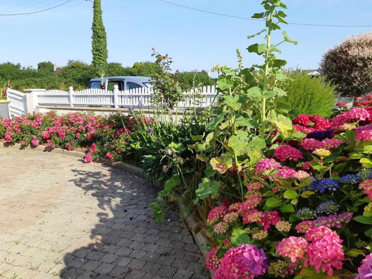 Ty Ann Maison Avec Jardin Clos De Mur, A Proximite Des Commerces Et A 3Km Des Plages Penvenan Екстер'єр фото